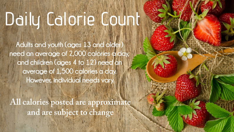 Daily Calorie Count