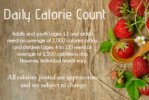 Daily Calorie Count
