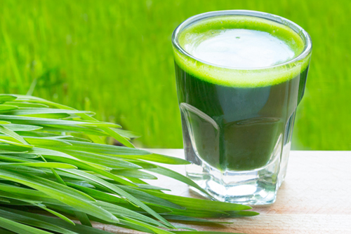 Wheatgrass